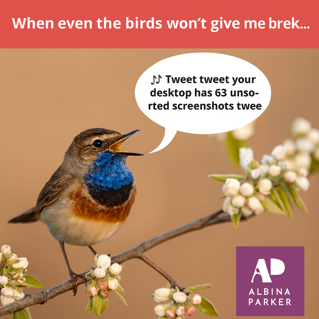 When even the birds won't give me a break... 🎵Tweet tweet your desktop has 63 unsorted screenshots tweet tweet🎵