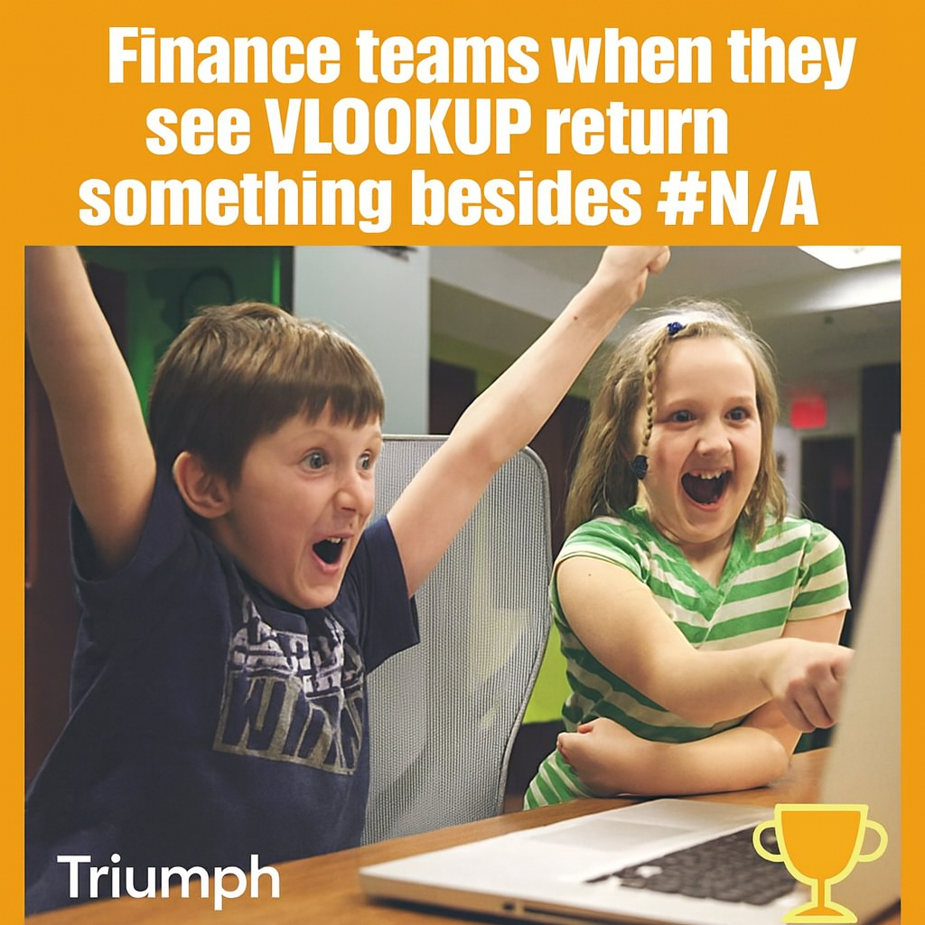 Finance teams when they see VLOOKUP return something besides #N/A