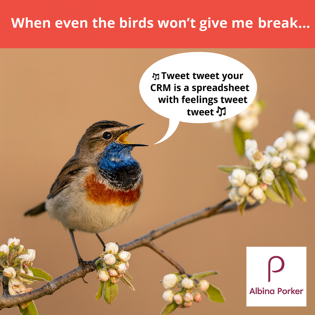 When even the birds won't give me a break... 🎵Tweet tweet your CRM is a spreadsheet with feelings tweet tweet🎵
