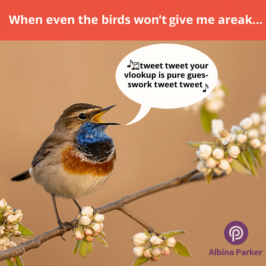 When even the birds won't give me a break... 🎵Tweet tweet your vlookup is pure guesswork tweet tweet🎵