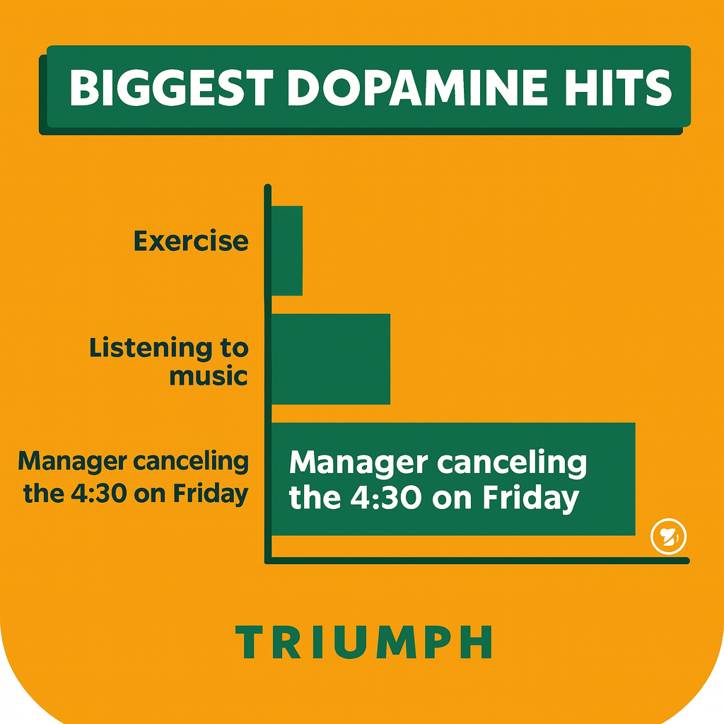 Biggest Dopamine Hits
Exercise
Listening to music
Manager canceling the 4:30 on Friday